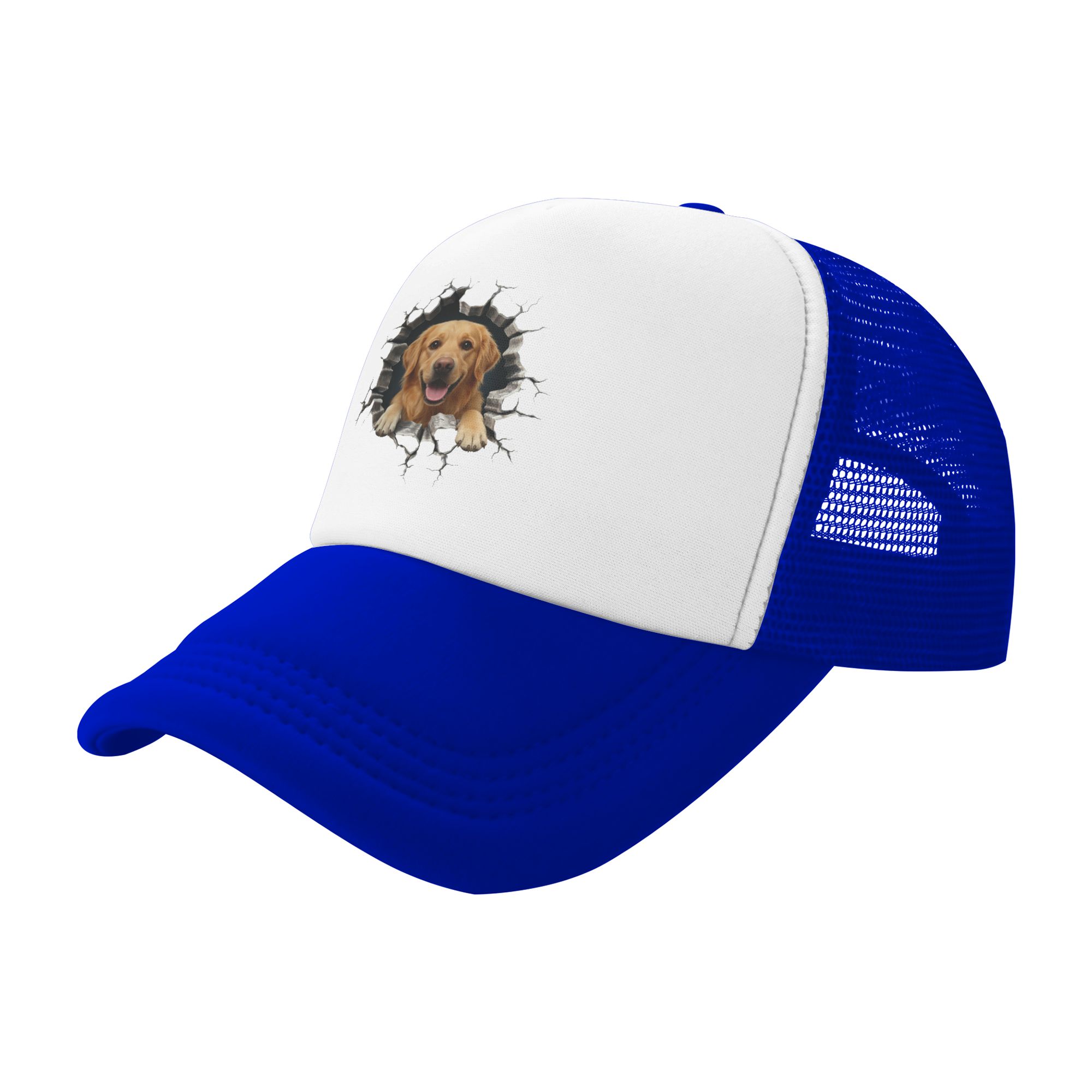 Boné de Beisebol Golden Retrie - Hat Snapback Cap avaliação e preço